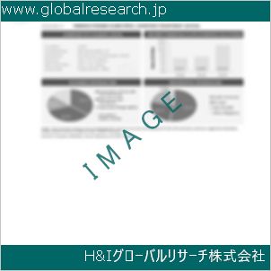 グローバルリサーチ調査資料のイメージ